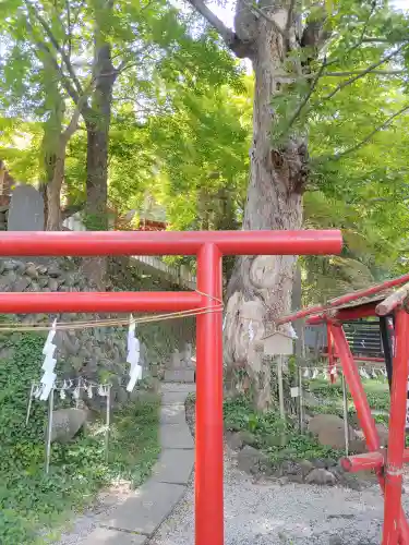 山名八幡宮(群馬県)