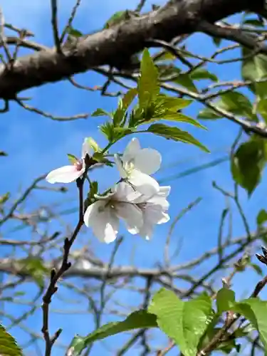 加佐美神社(岐阜県)