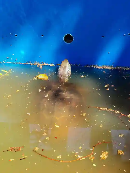 下谷神社(東京都)