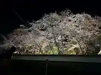 木舟山 順教寺(広島県)