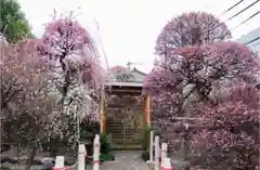 小村井 香取神社の庭園