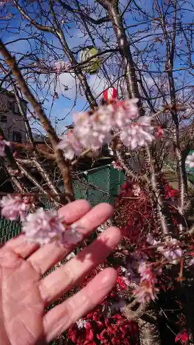 住吉神社の自然