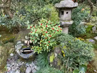 一條殿 新善光寺(京都府)
