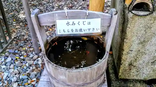 武雄神社のおみくじ