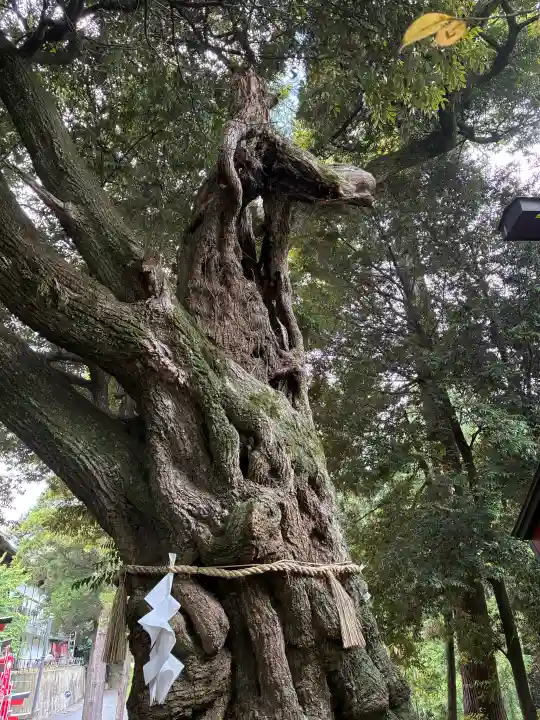 大杉神社 境内社 勝馬神社の{uncategorized: "未分類", other: "その他", undefined: "問題あり", building: "その他建物", grave: "お墓", sacred_gate: "鳥居", guardian: "狛犬", statue: "像", buddha: "仏像", history: "歴史", nature: "自然", garden: "庭園", animal: "動物", pagoda: "塔", temizu: "手水舎", mountain_gate: "山門・神門", sanctuary: "本殿・本堂", subordinate: "末社・摂社", art: "芸術", scenery: "景色", jizo: "地蔵", ema: "絵馬", goshuin: "御朱印", omikuji: "おみくじ", items: "授与品その他", amulet: "お守り", goshuincho: "御朱印帳", eats: "食事", festival: "お祭り", votive_dance: "神楽", shichigosan: "七五三参", wedding: "結婚式", experience: "体験その他", initially: "初詣", around: "周辺", anti_infection: "感染症対策"}