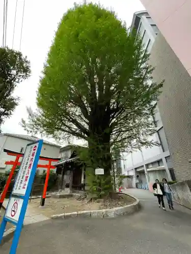 稼穡稲荷社(東京都)