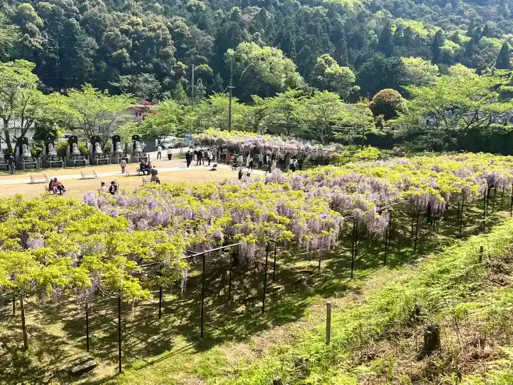 天台宗 五大山 白毫寺(兵庫県)