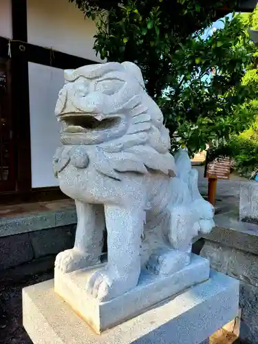 小浜神社の狛犬