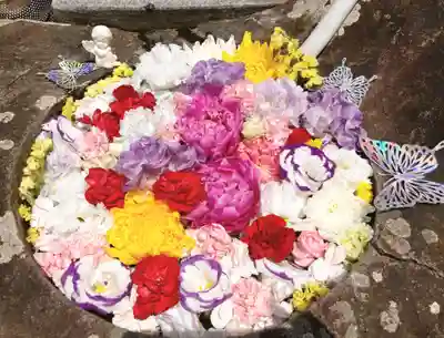 真言宗　善通寺派　薬王寺(香川県)