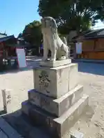 姪浜住吉神社の狛犬