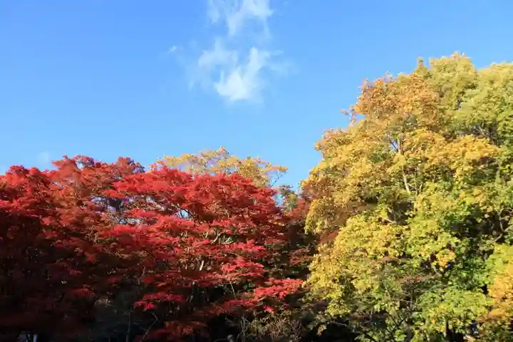土津神社|こどもと出世の神さまの景色