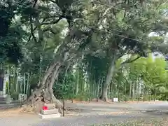 上宮天満宮(大阪府)