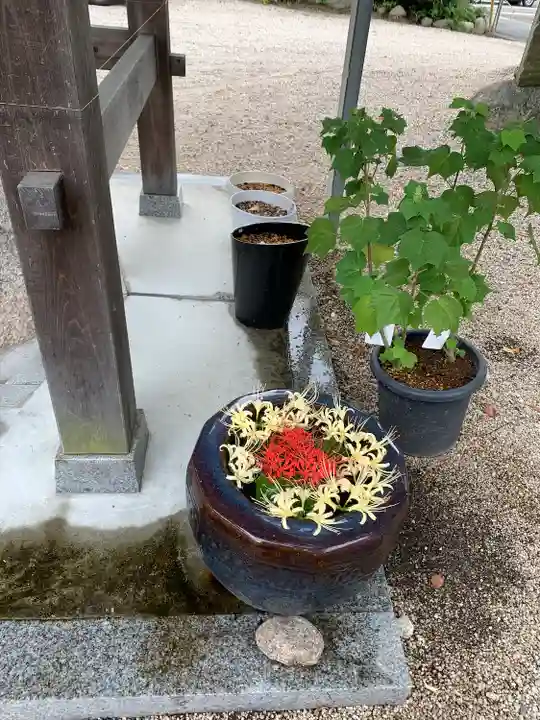 神館神社の手水舎
