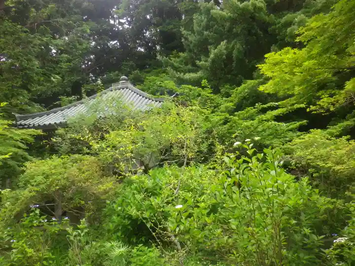 安國論寺(安国論寺)の自然