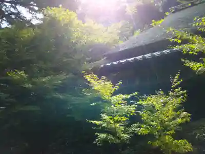 滝口寺のその他建物