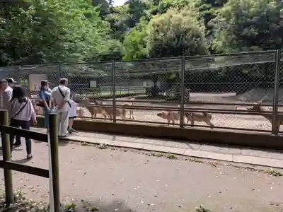 鹿島神宮(茨城県)