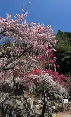 国福大神社(山梨県)