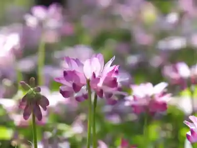 三大神社のその他建物