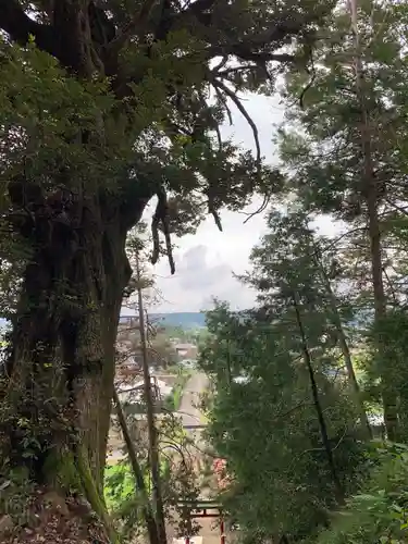 日高神社の景色