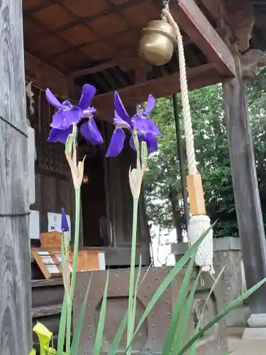 伏木香取神社(茨城県)
