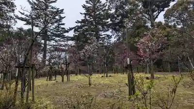 長岡天満宮(京都府)