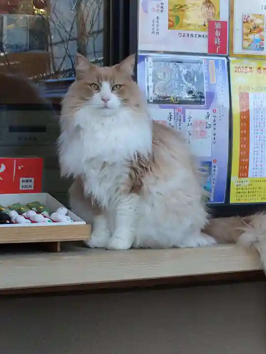 駒込妙義神社(東京都)