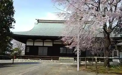 南養寺の本殿・本堂