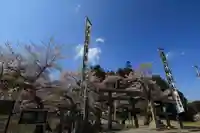 鹿島大神宮のお祭り