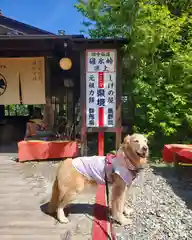 熊野皇大神社の動物