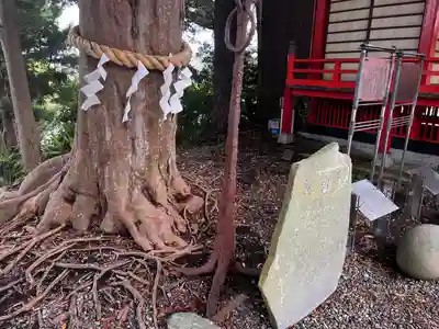 玉前神社(千葉県)