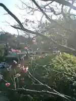 浄光明寺の自然