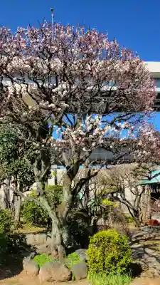 隅田川神社の{uncategorized: "未分類", other: "その他", undefined: "問題あり", building: "その他建物", grave: "お墓", sacred_gate: "鳥居", guardian: "狛犬", statue: "像", buddha: "仏像", history: "歴史", nature: "自然", garden: "庭園", animal: "動物", pagoda: "塔", temizu: "手水舎", mountain_gate: "山門・神門", sanctuary: "本殿・本堂", subordinate: "末社・摂社", art: "芸術", scenery: "景色", jizo: "地蔵", ema: "絵馬", goshuin: "御朱印", omikuji: "おみくじ", items: "授与品その他", amulet: "お守り", goshuincho: "御朱印帳", eats: "食事", festival: "お祭り", votive_dance: "神楽", shichigosan: "七五三参", wedding: "結婚式", experience: "体験その他", initially: "初詣", around: "周辺", anti_infection: "感染症対策"}