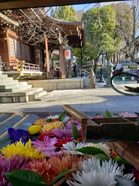 熊野神社の手水舎