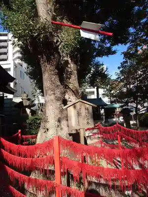 三輪神社(愛知県)