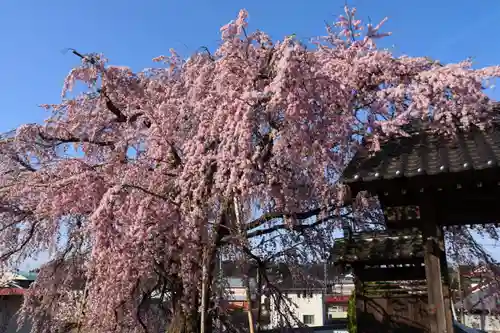 長興寺の庭園