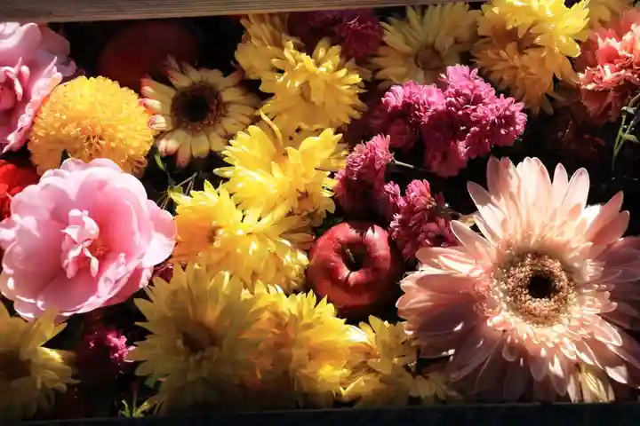 豊景神社の手水舎