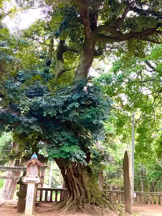 雨引千勝神社(茨城県)