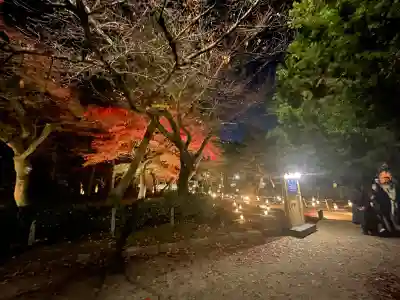 建仁寺（建仁禅寺）(京都府)
