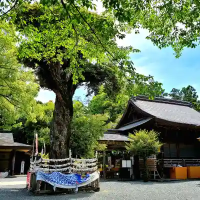 井伊谷宮のその他建物