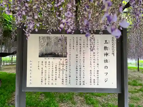 宮目神社（玉敷神社　境内社）(埼玉県)