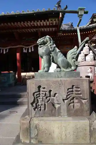 浅草神社の狛犬