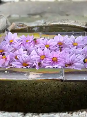立志神社(滋賀県)