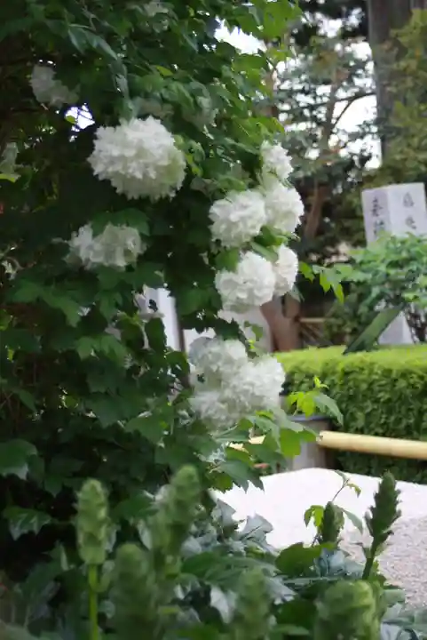 石光寺(奈良県)