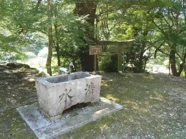 熊野社(愛知県)