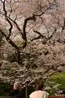 掌禅寺(愛媛県)