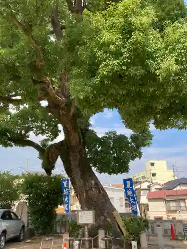 丹生神社(兵庫県)