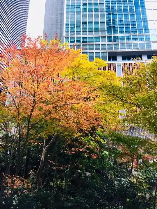 福徳神社(芽吹稲荷)の自然