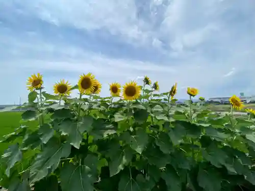 玉田神社の自然