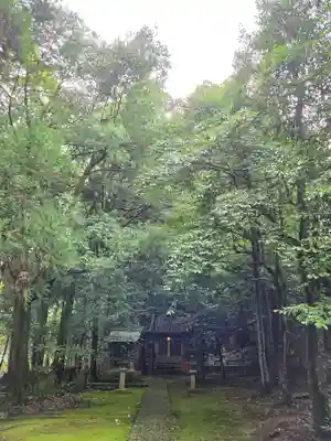 舟津神社(福井県)