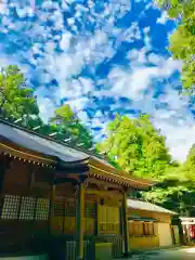 阿夫利神社の本殿